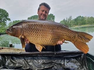 CORONA CARP